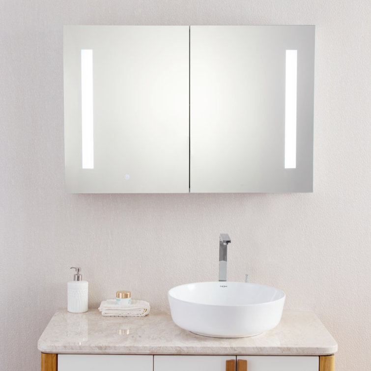 Orren Ellis Muneef Surface Mount Frameless 2 Door Medicine with